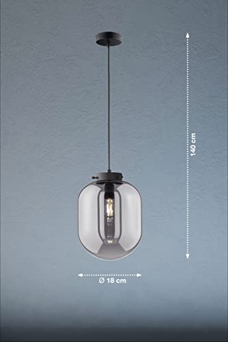 fischer-honsel-regi-pendelleuchte-schwarz-matt-rauchglas-e27 image 7