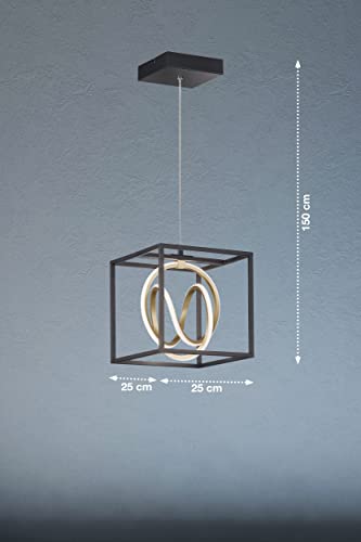 fischer-honsel-gisi-led-pendelleuchte-schwarz-gold-dimmbar-cct image 8