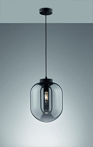 fischer-honsel-regi-60710-pendelleuchte-rauchglas-schwarz-matt-e27 image 8