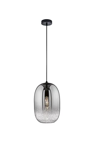 fischer-honsel-trace-pendelleuchte-schwarz-rauchglas-e27 image 4