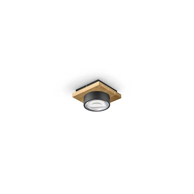 herzblut-eileen-deckenleuchte-1-flammig-linsenlicht image 1