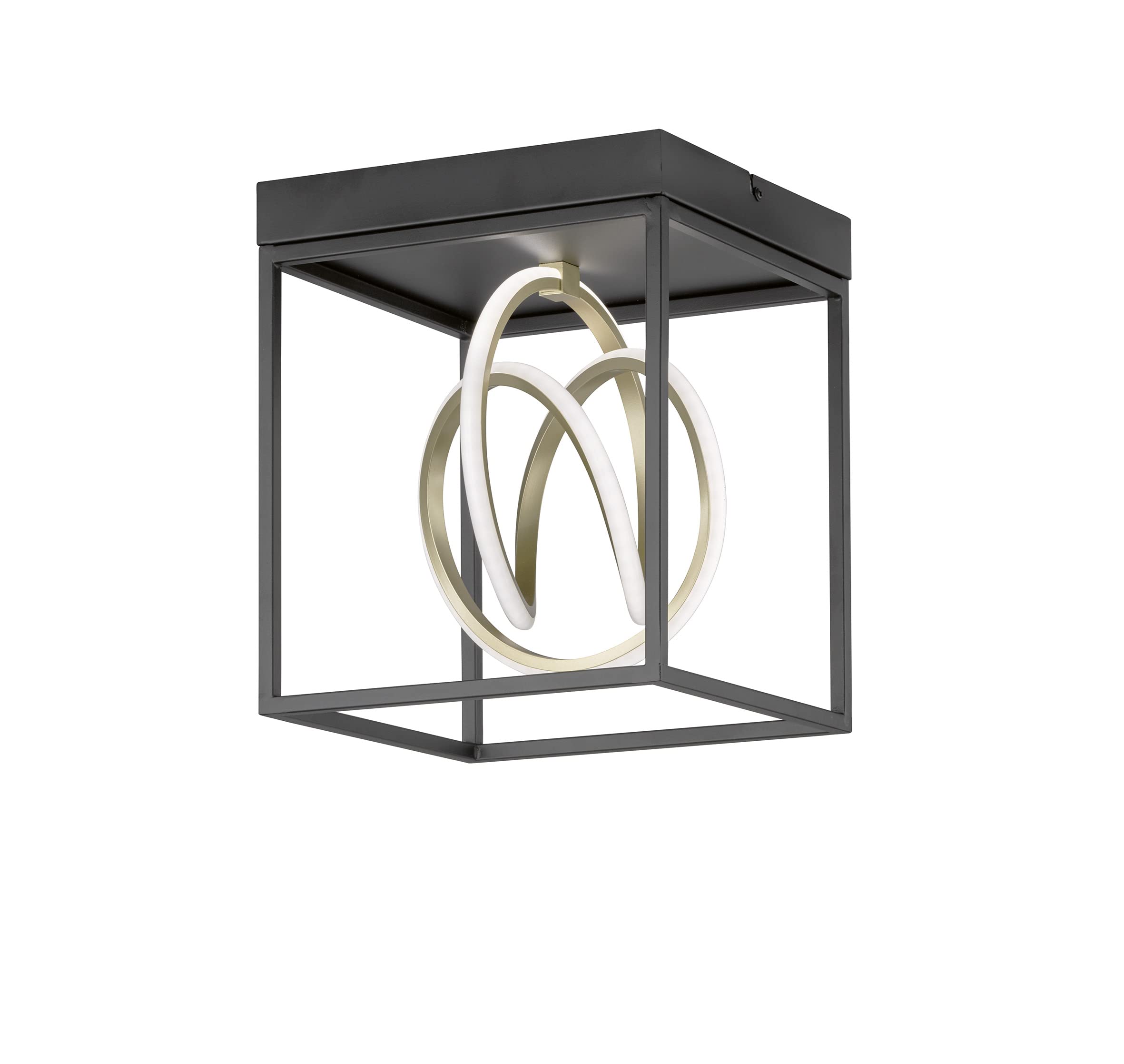 fischer-honsel-gisi-led-pendelleuchte-schwarz-gold-dimmbar-cct image 6