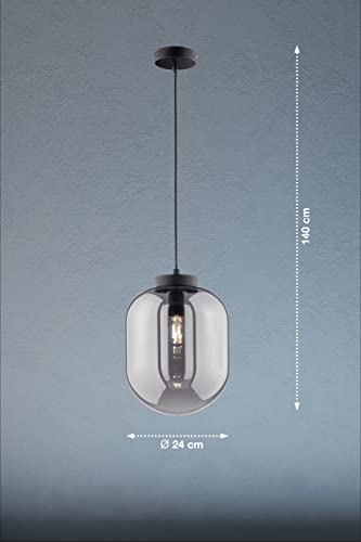 fischer-honsel-regi-60710-pendelleuchte-rauchglas-schwarz-matt-e27 image 6