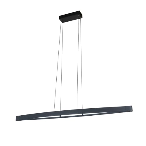 fischer-honsel-fenga-pendelleuchte-schwarz-119-cm-led-28w-dimmbar image 4