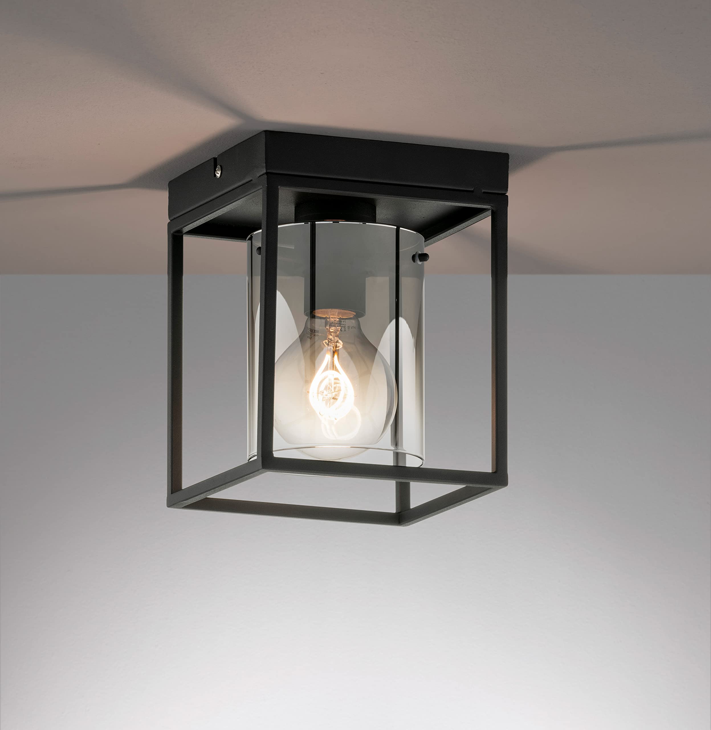 fischer-honsel-samu-deckenleuchte-sandschwarz-rauchglas-e27 image 3